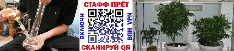 Где купить Ядрин Галлюциногенные грибы Альфа ПВП АМФ Меф мяу мяу Марихуана КОКАИН