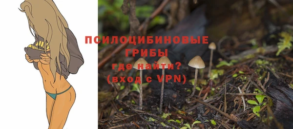 гидра Алексин