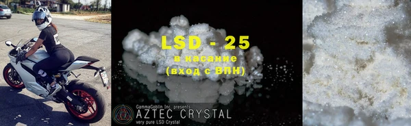 ECSTASY Алзамай