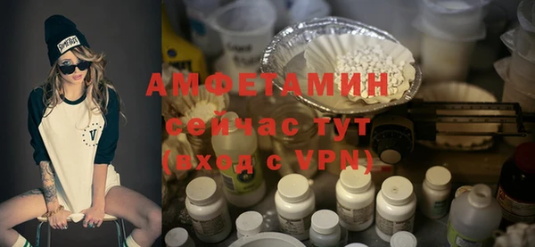 ECSTASY Алзамай