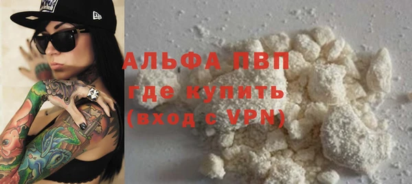 гидра Алексин