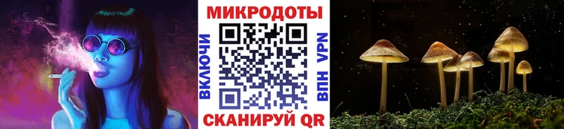 купить  цена  Ядрин  Галлюциногенные грибы ЛСД 